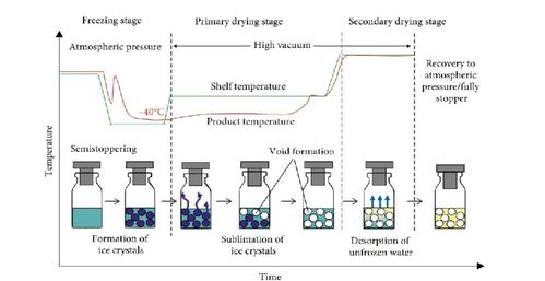 广州虹科电子 以测量仪表与物联网技术驱动市场创新，赋能电子技术论坛生态繁荣